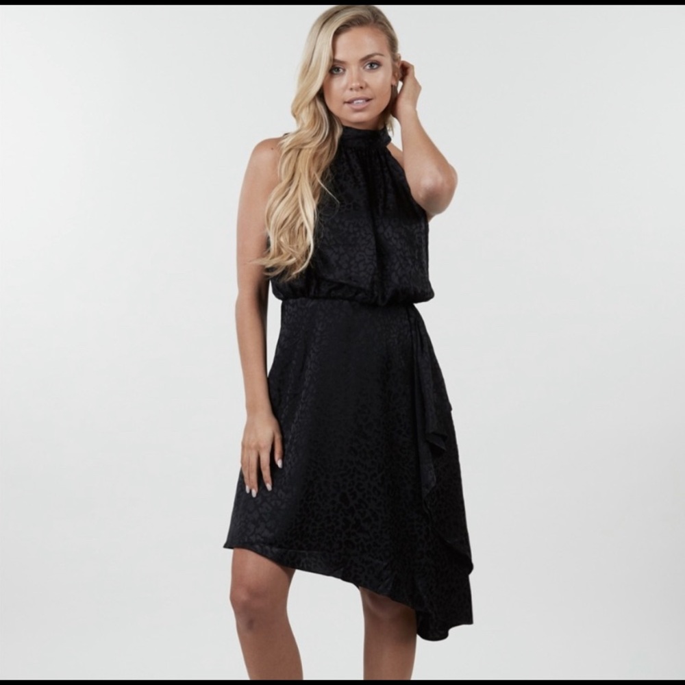 NWT Harper Wren Asymmetrical Leopard Print Lily dress